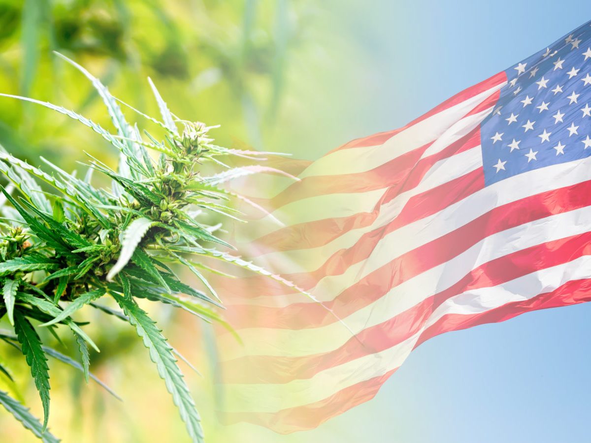 History of Hemp in the&nbsp;U.S.