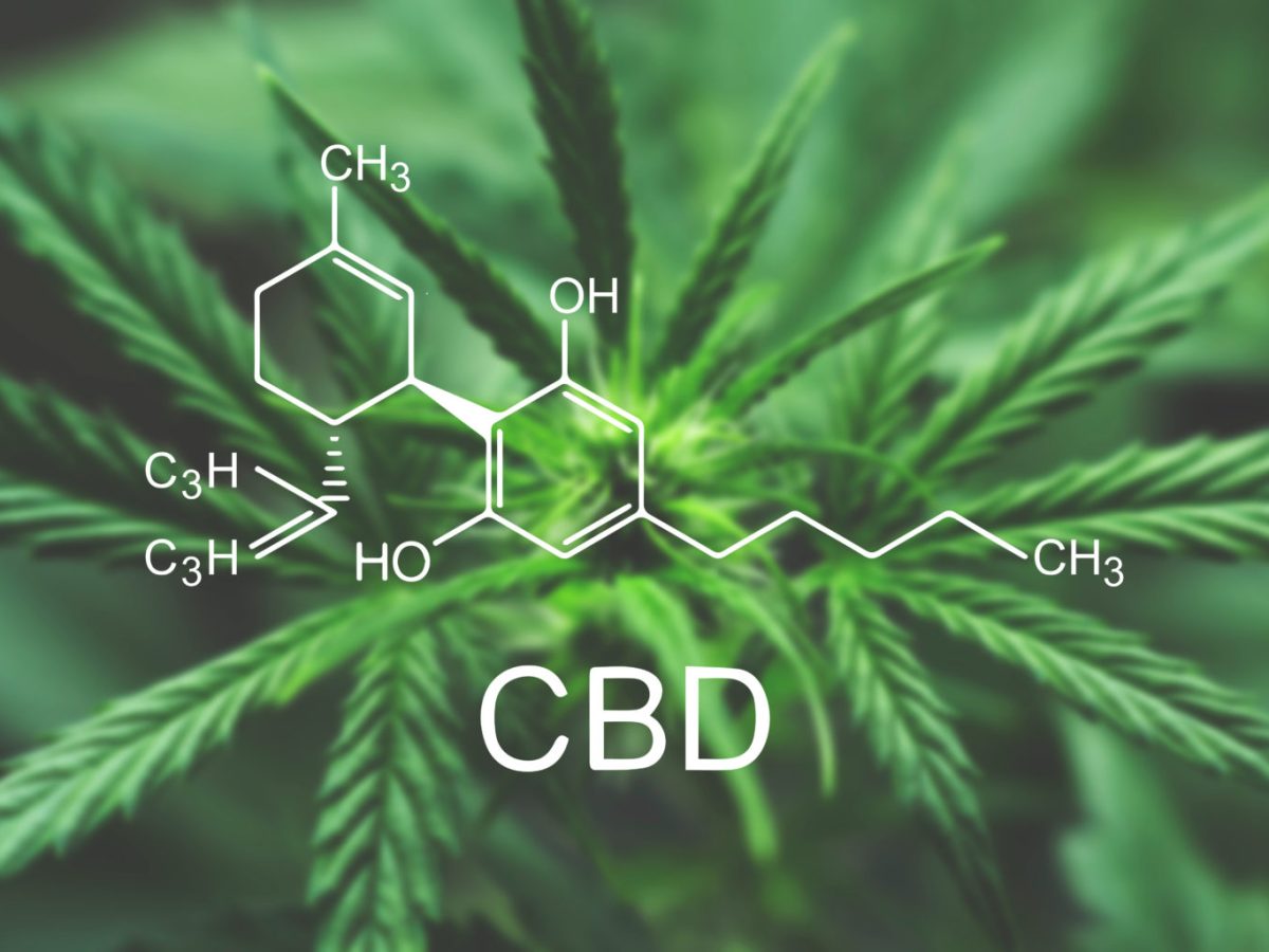 ¿Qué es el Aceite de&nbsp;CBD?